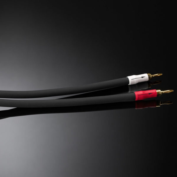shunyata research speaker cables ΞTRON® series ΞTRON® anacondasp_banana