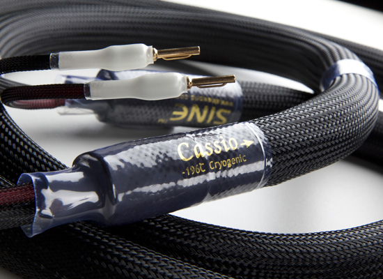 sineworld speaker cables Cassio Speaker Cable